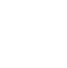 Natural Language Data Interaction