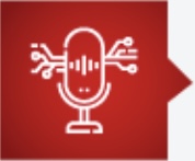 Natural Language Data Interaction